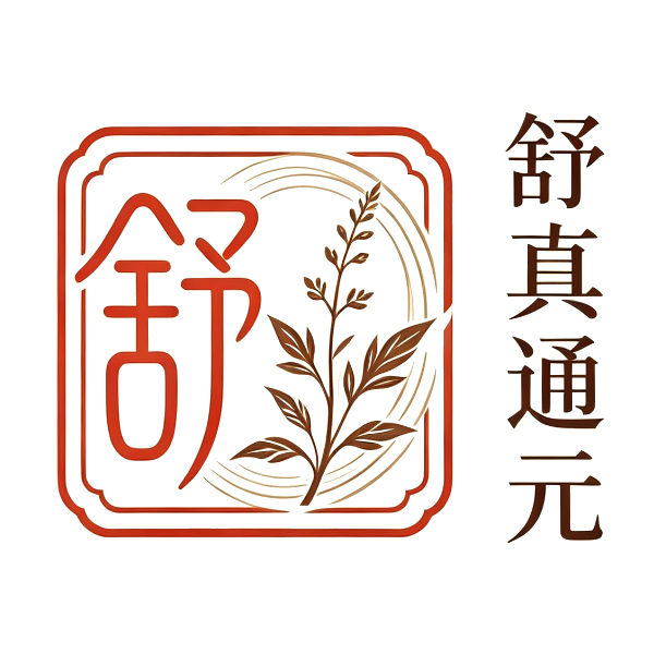 舒真通元
